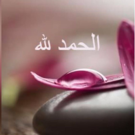 روضه احمد
