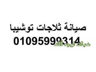 شركة صيانة ثلاجات توشيبا ميدان الجيزة ٠١٢٨٣٣٧٧٣٥٣