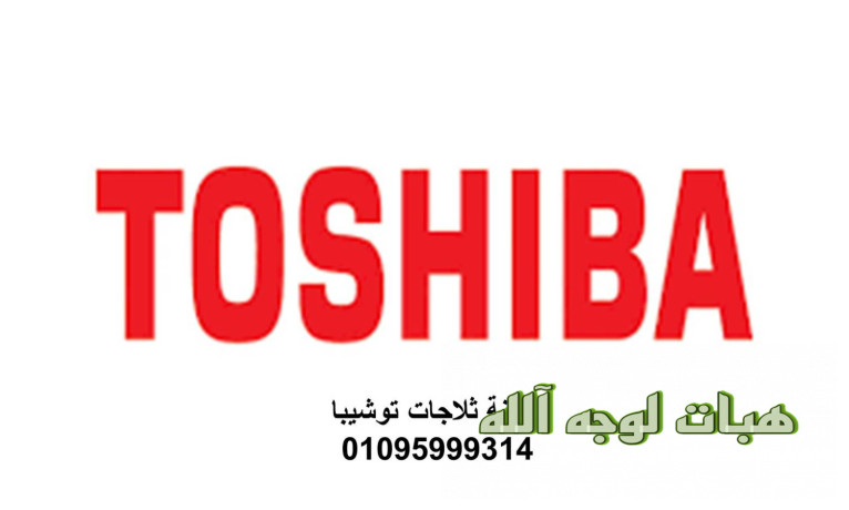 shrk-syan-thlajat-toshyba-almnyb-5-big-0