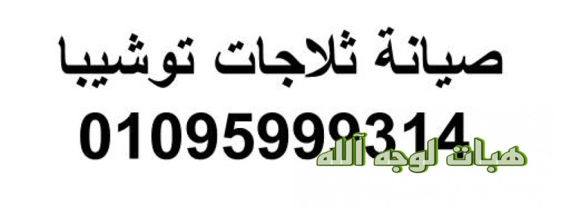 tslyh-dyb-fryzr-toshyba-fy-alrhab-54-big-0