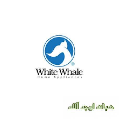 khdm-aamla-ghsalat-oayt-oyl-mdyn-bdr-64-big-0