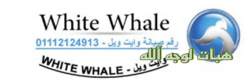 akrb-syan-ghsalat-oayt-oyl-mdyn-nsr-64-big-0