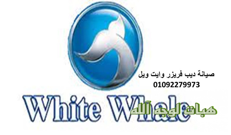 mokaa-syan-thlajat-oayt-oyl-alkahr-aljdyd-big-0