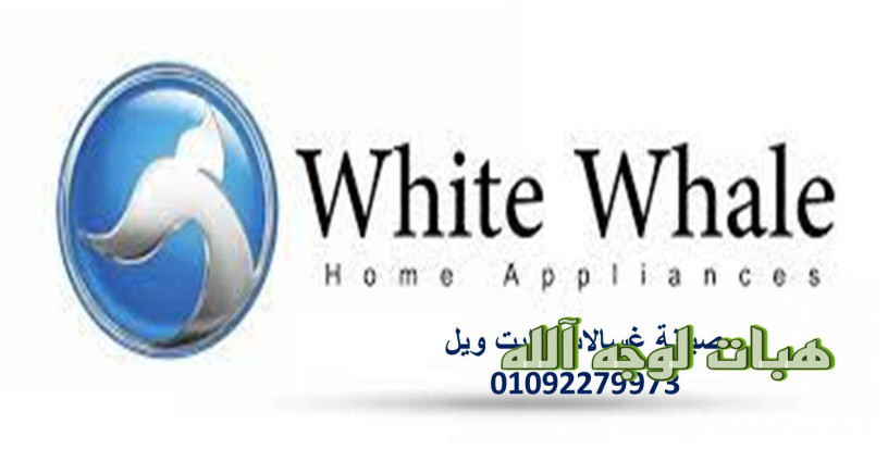 atsl-syan-thlajat-oayt-oyl-mdyn-nsr-5-big-0