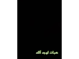 كنب لوجه الله
