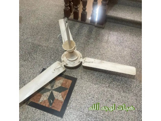 مروحه شغاله لوجه الله للمحتاج فقط