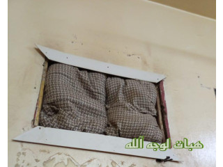 احتاج مكيف الله يبرد عليكم